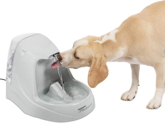 PetSafe Drinkwell Platinum Pet Fountain